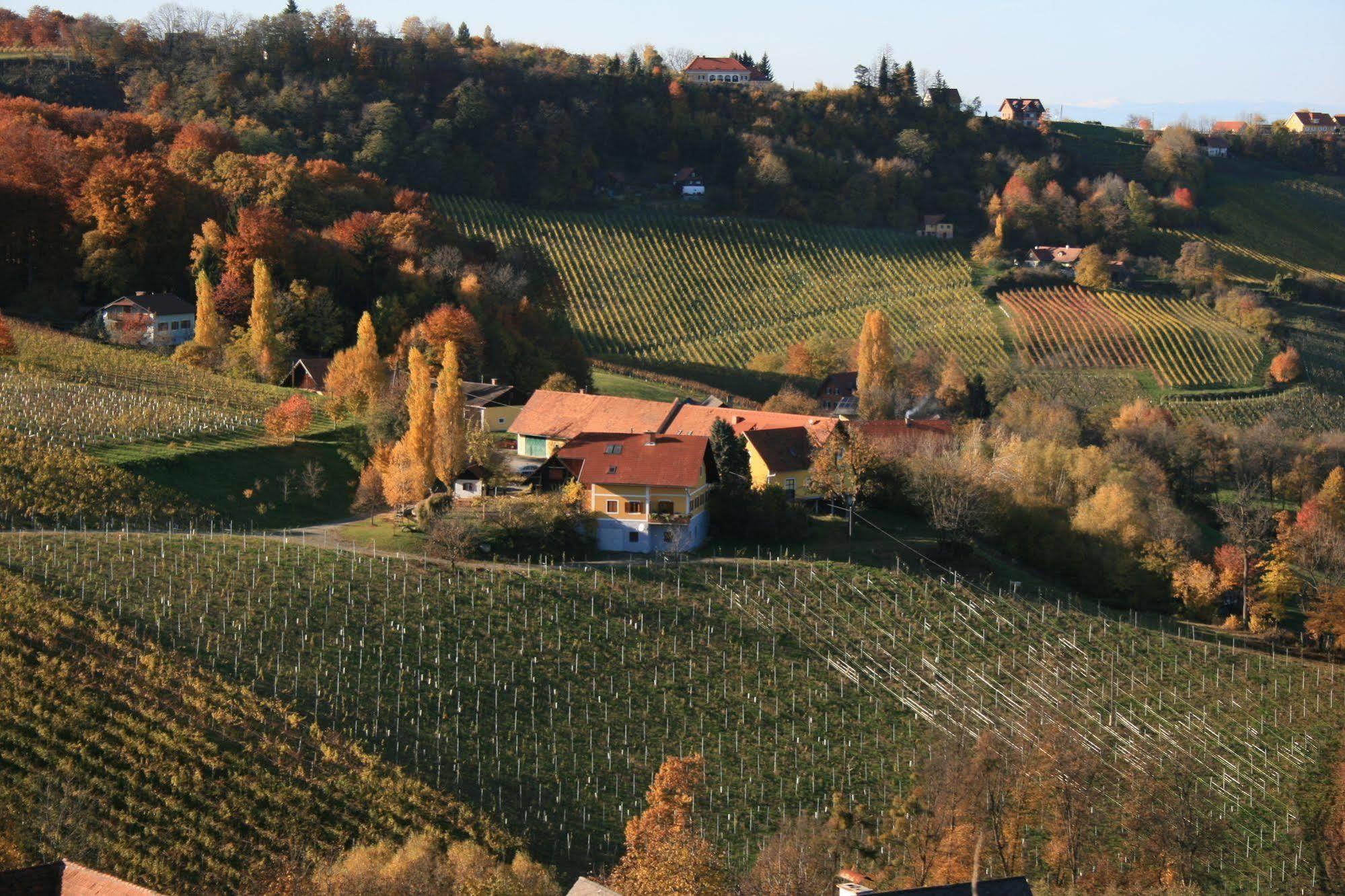 Weingut Primus Suedsteiermark Spielfeld Dış mekan fotoğraf