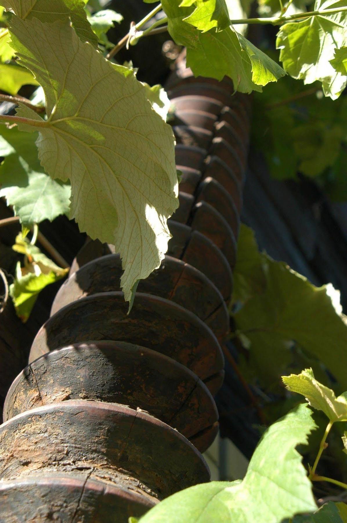 Weingut Primus Suedsteiermark Spielfeld Dış mekan fotoğraf