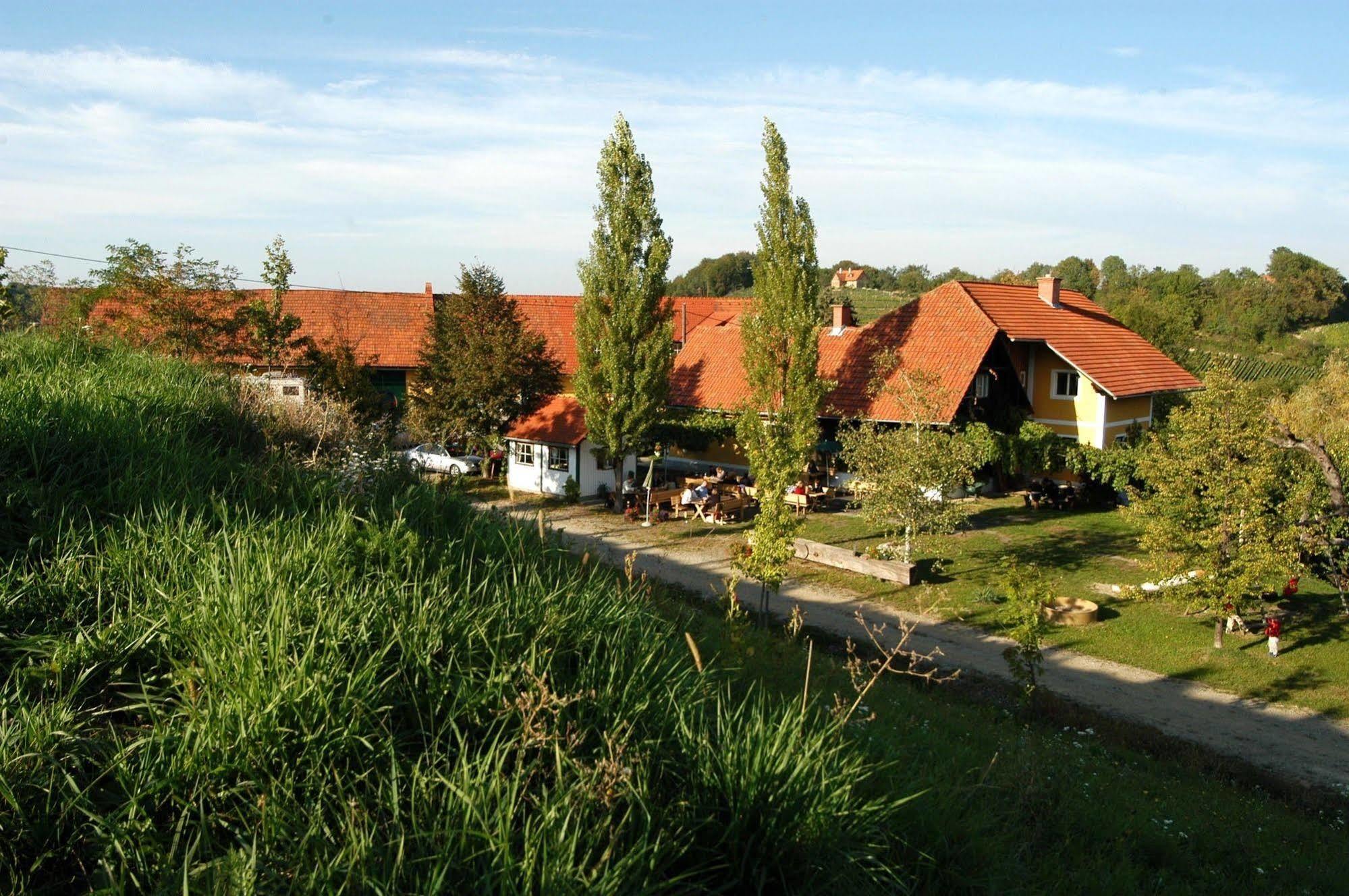 Weingut Primus Suedsteiermark Spielfeld Dış mekan fotoğraf