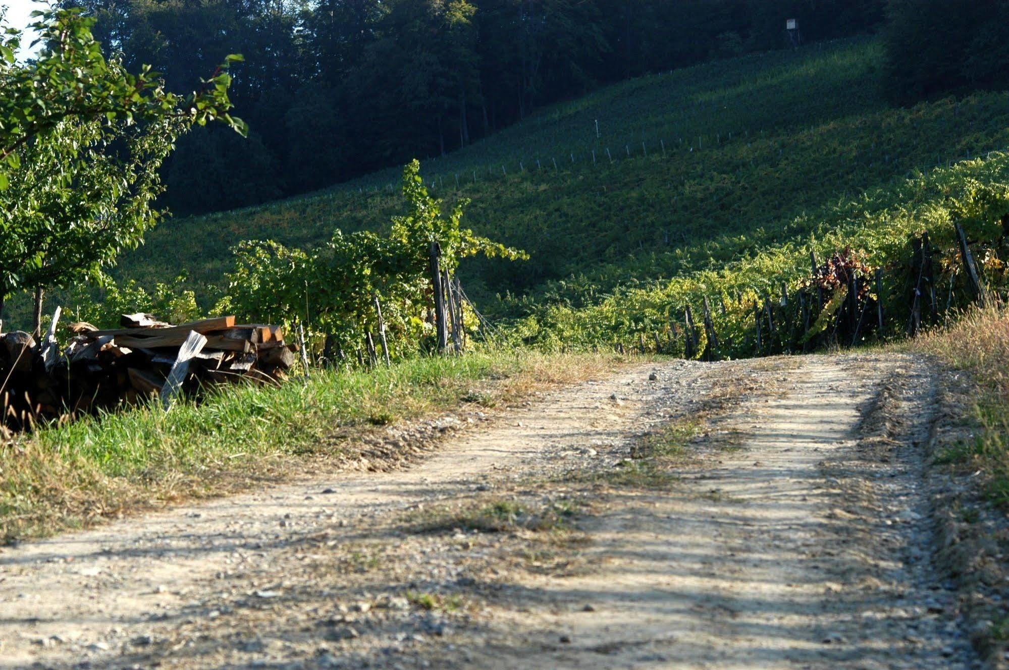 Weingut Primus Suedsteiermark Spielfeld Dış mekan fotoğraf