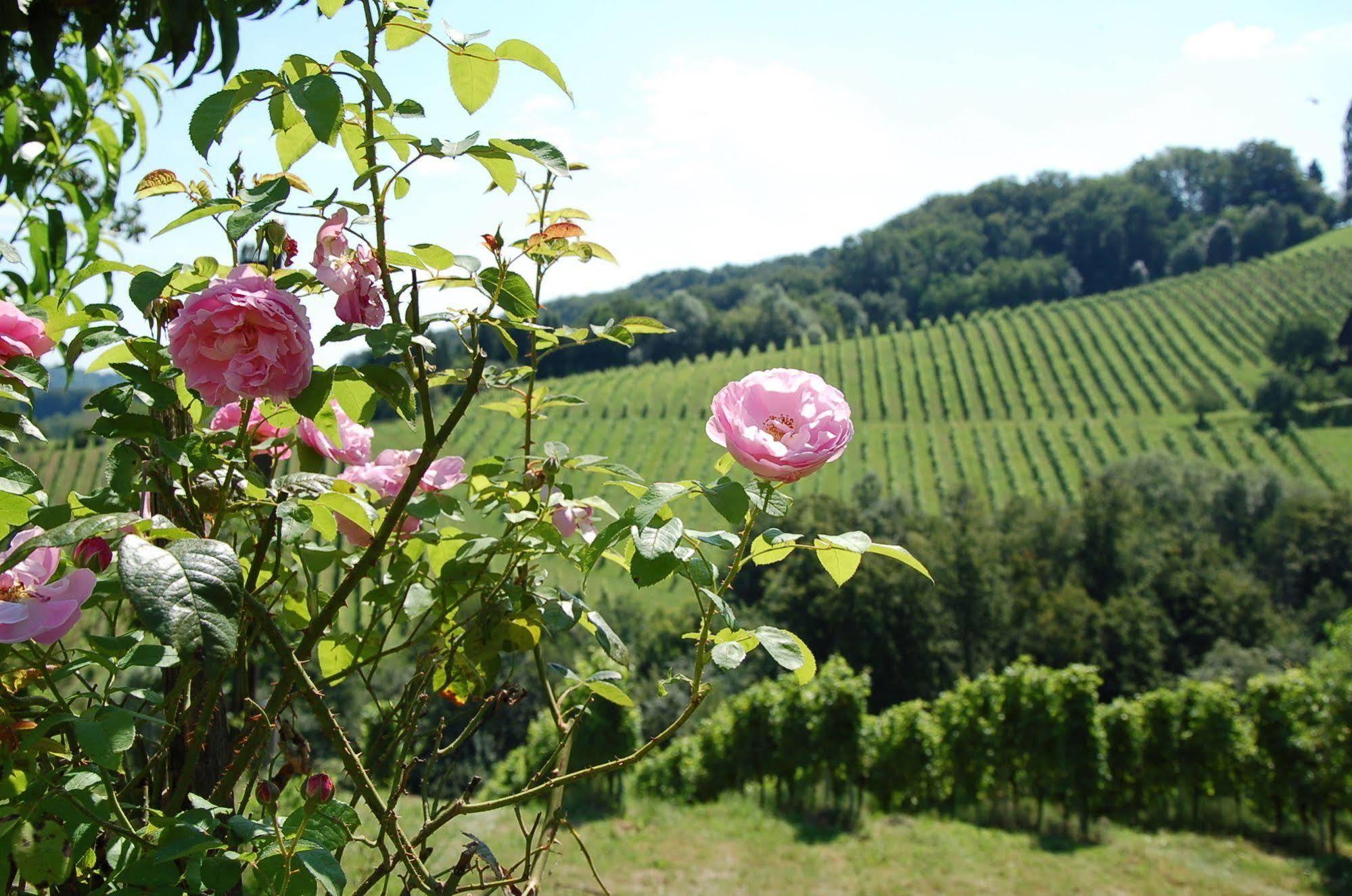 Weingut Primus Suedsteiermark Spielfeld Dış mekan fotoğraf